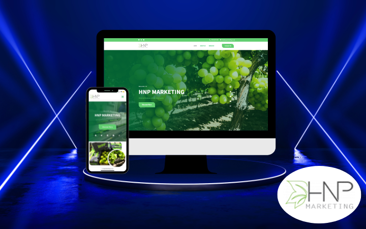 HNP MARKETING - Project Time Client